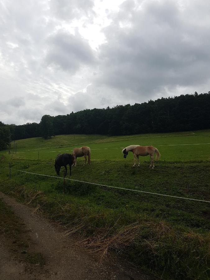 Ferienwohnung Am Thueringen Radweg Rauda Luaran gambar